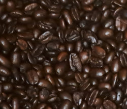 Medium Roast Koffiebonen - Premium Single Origin