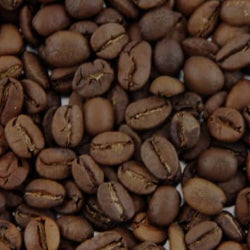 Brasil Yellow Bourbon - Premium Single Origin